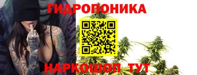 скорость Краснознаменск