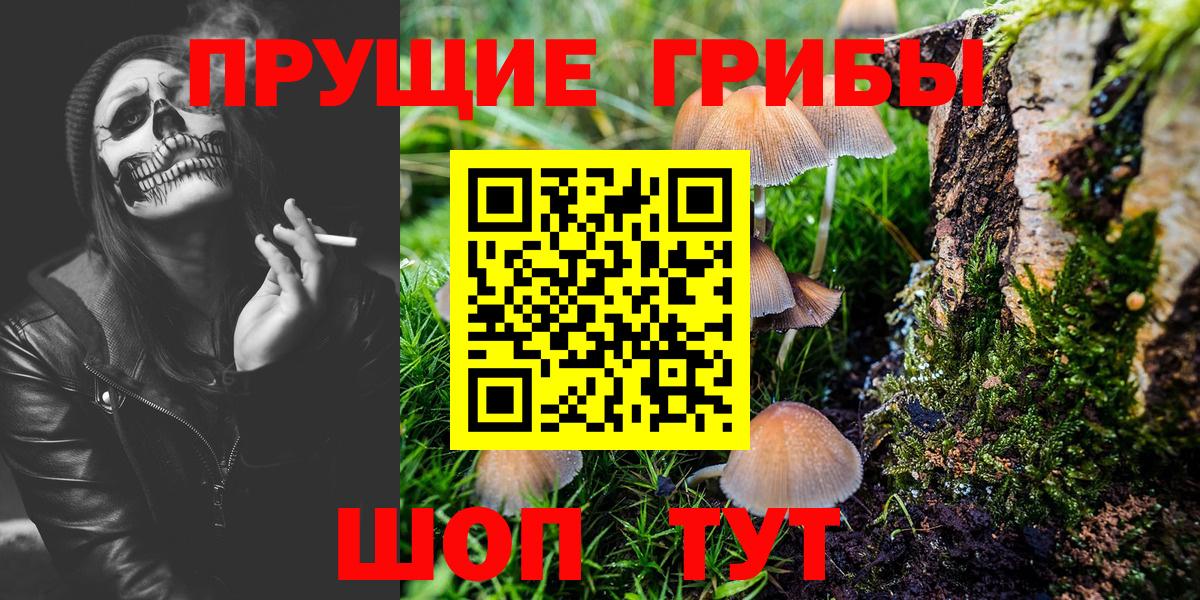 Псилоцибиновые грибы MAGIC MUSHROOMS  Вход с VPN  Камышлов 