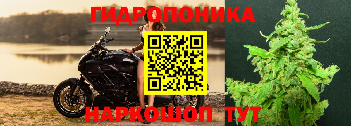Камышлов  Марихуана LSD WEED  Канабис сатива  Вход с VPN  Бошки марихуана план 